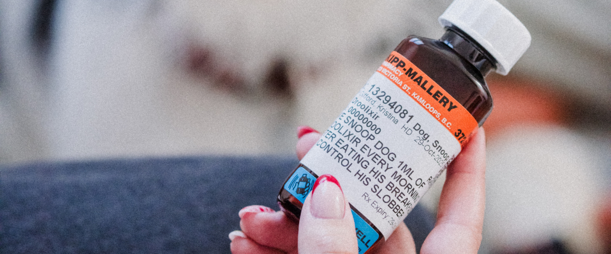 Dog taking a prescribed pill from a pet-friendly treat